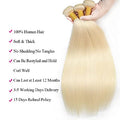 613 Blonde Straight Bundle 10A Grade Virgin Human Hair